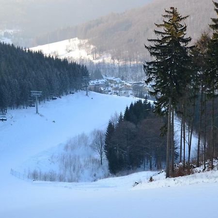 Apartman Pod Medvedi Horou Loučná nad Desnou Kültér fotó