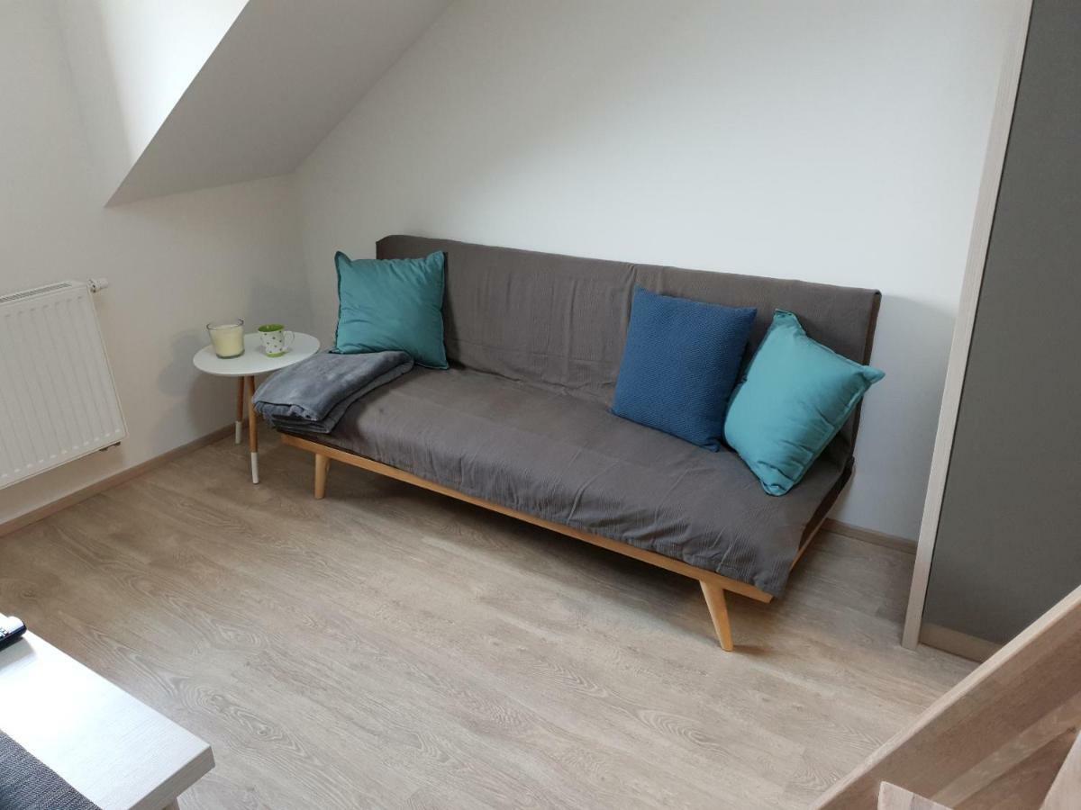 Apartman Pod Medvedi Horou Loučná nad Desnou Kültér fotó
