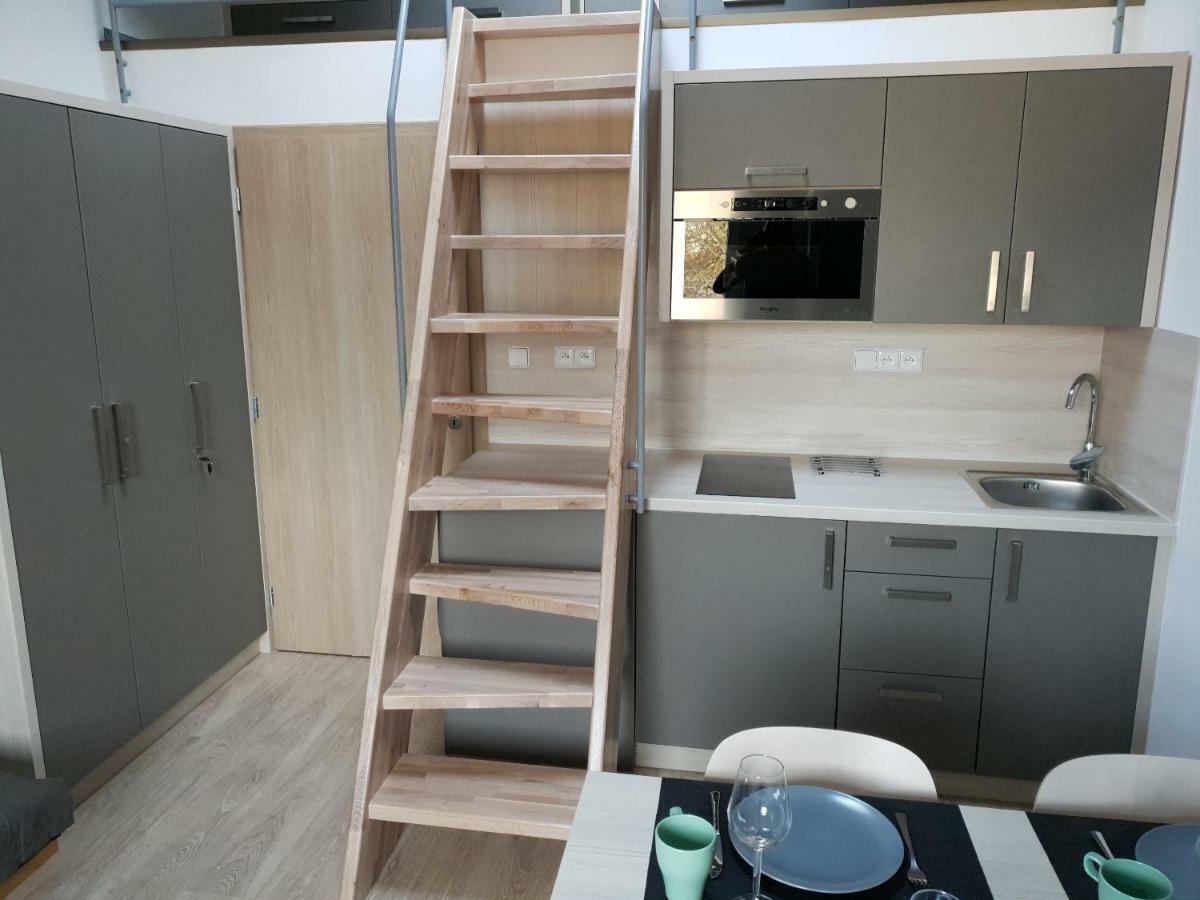 Apartman Pod Medvedi Horou Loučná nad Desnou Kültér fotó