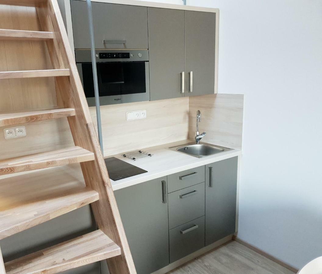 Apartman Pod Medvedi Horou Loučná nad Desnou Kültér fotó