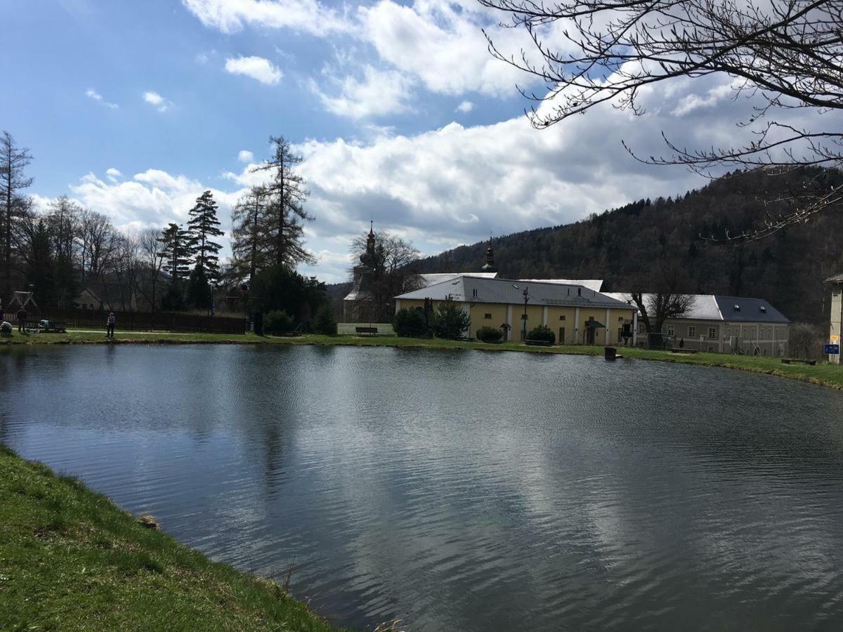 Apartman Pod Medvedi Horou Loučná nad Desnou Kültér fotó