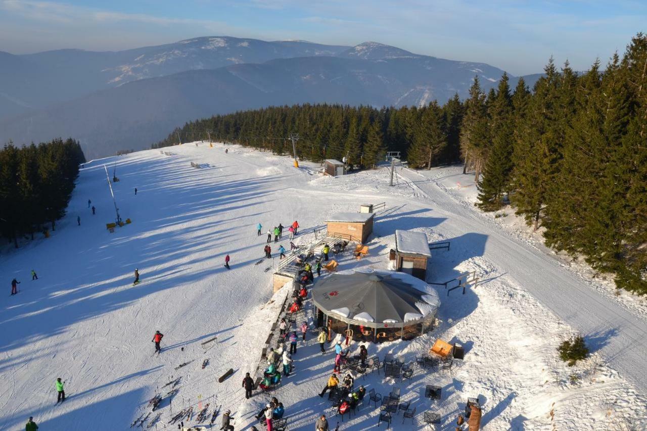 Apartman Pod Medvedi Horou Loučná nad Desnou Kültér fotó